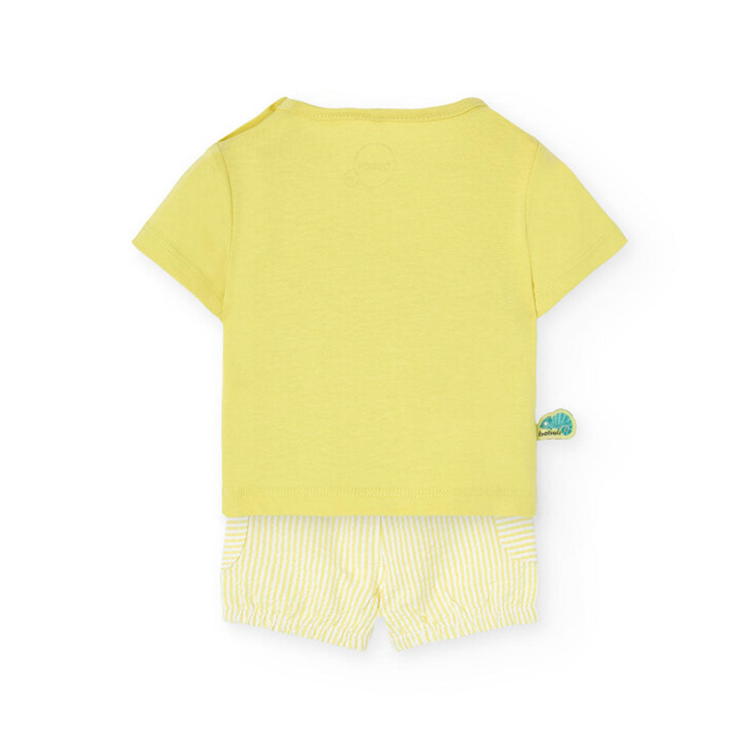 Knitted set in green