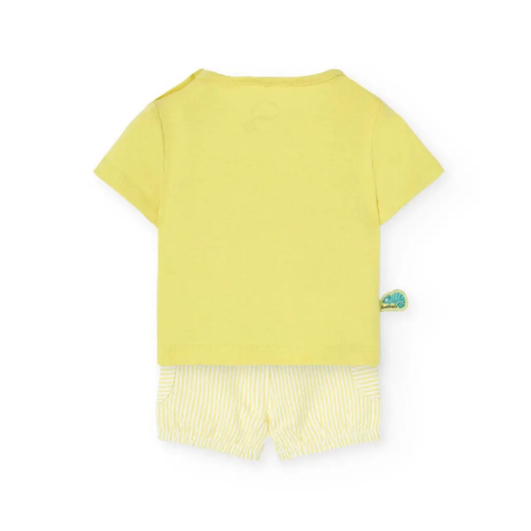 Knitted set in green My Store