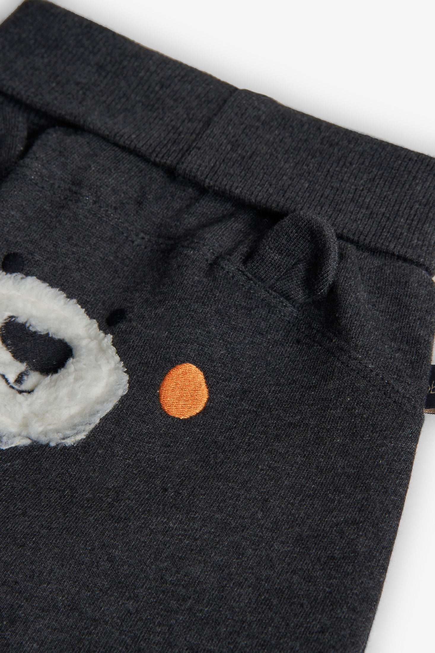 Baby Boy Bear Sweatshirt and Pants Set