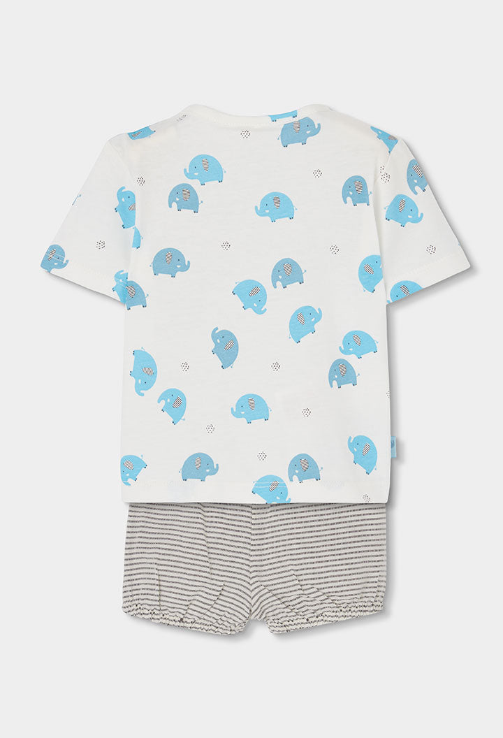 Baby Boy Elephant T-shit ant Short Set