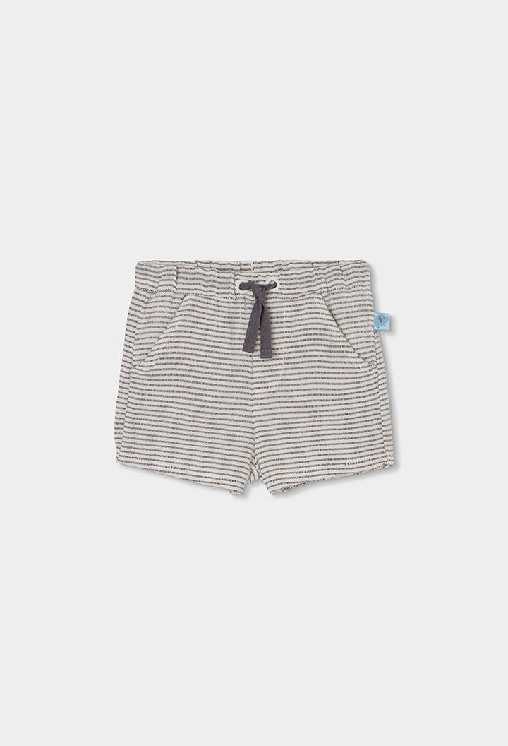 Baby Boy Elephant T-shit ant Short Set