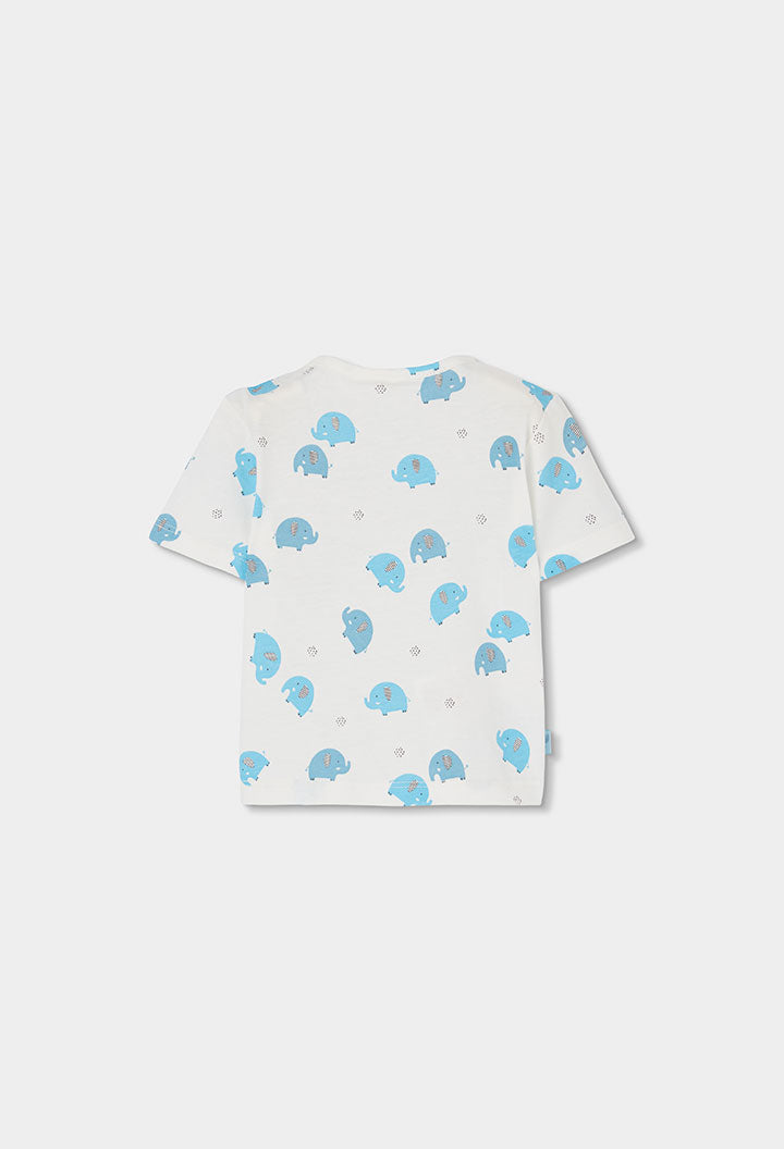 Baby Boy Elephant T-shit ant Short Set
