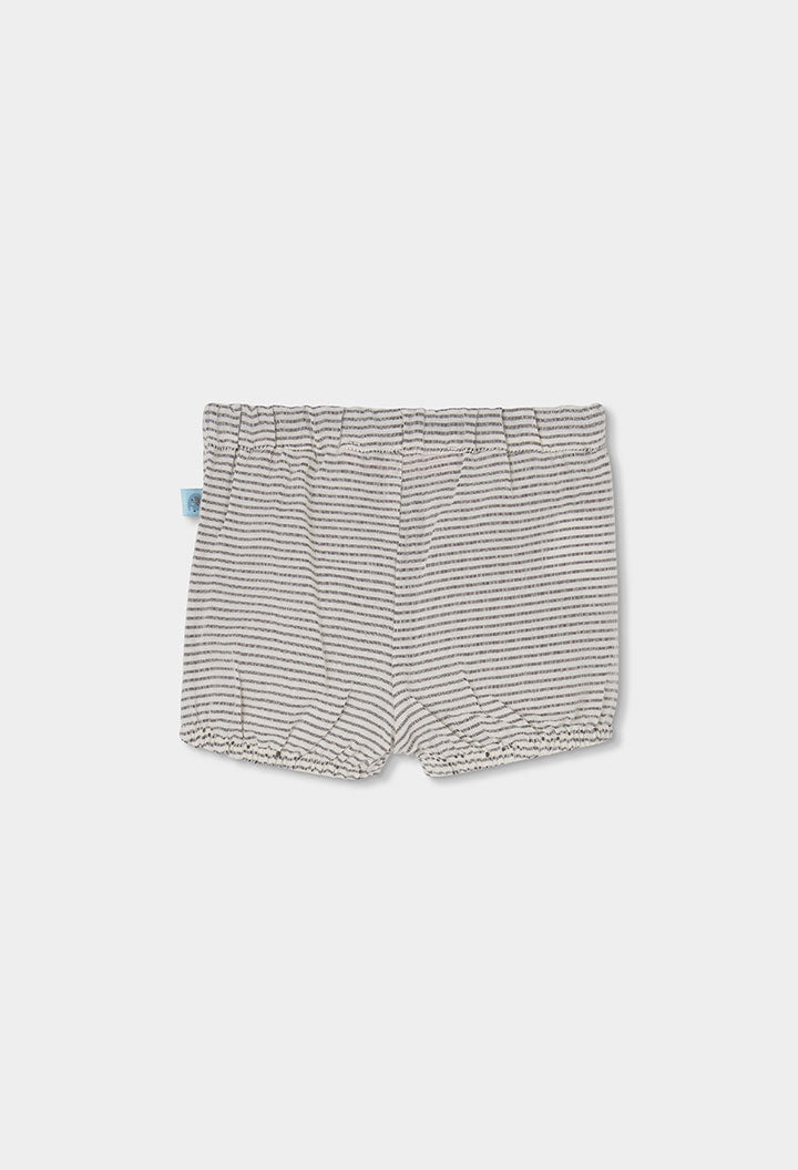 Baby Boy Elephant T-shit ant Short Set