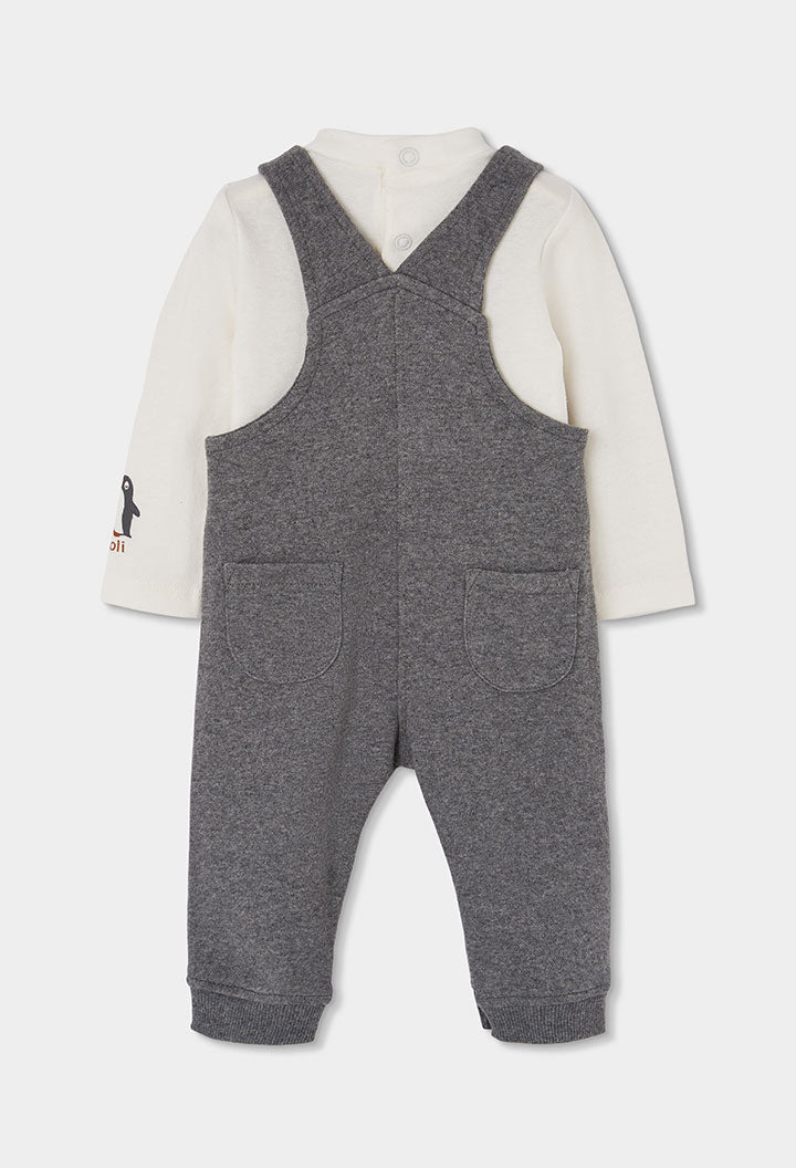 Baby Boy Penguin Overall Set