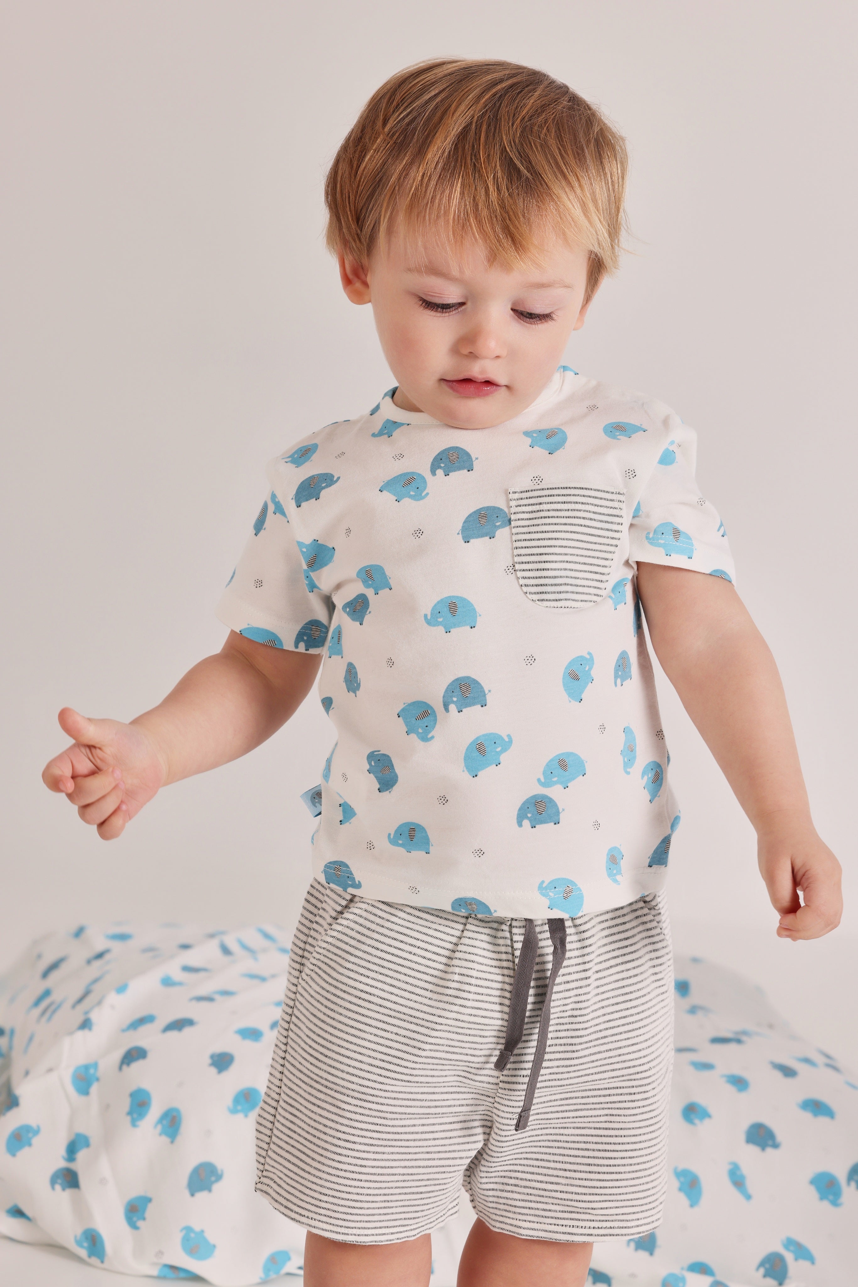 Baby Boys Elephant T-Shirt & Striped Shorts Set