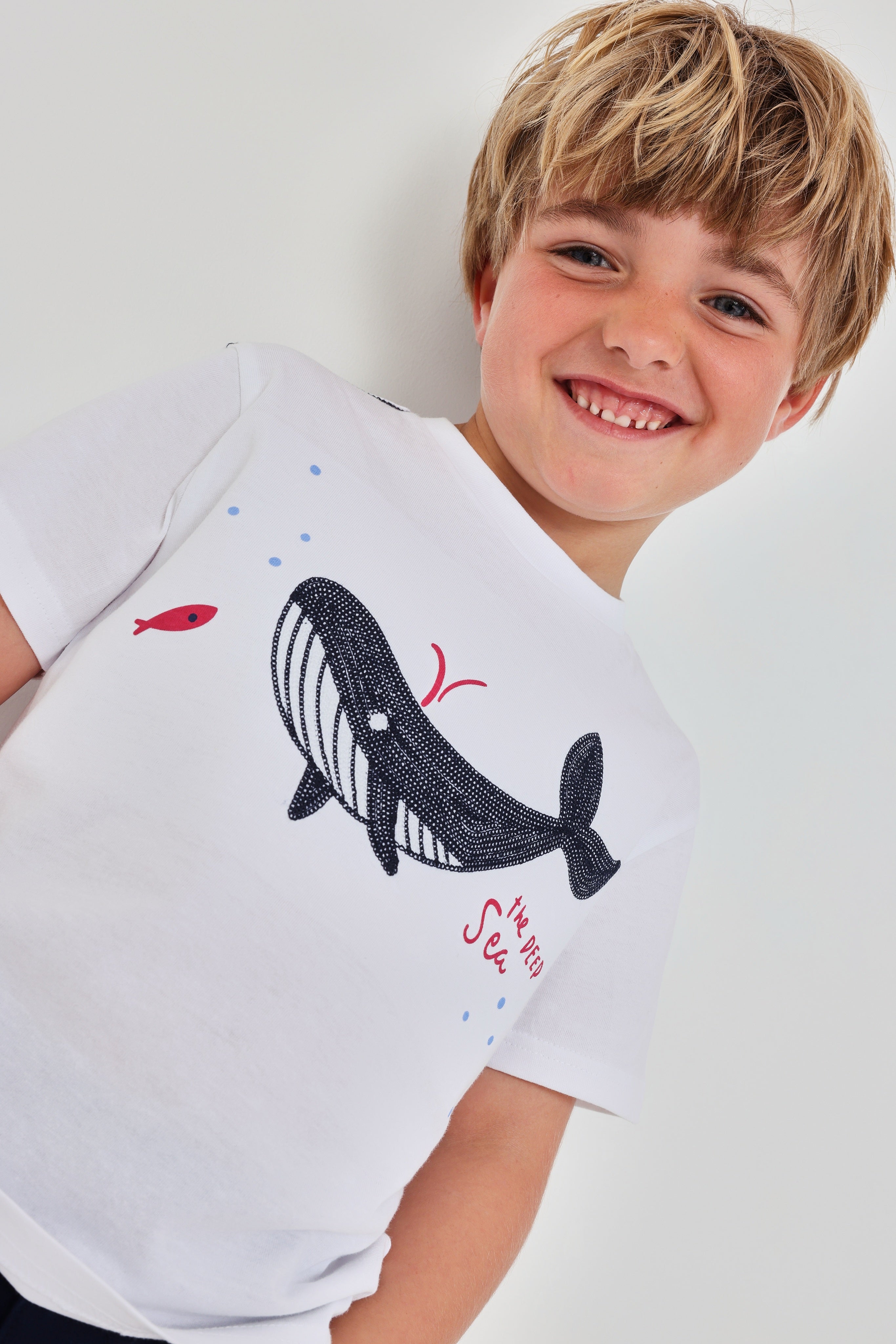 Boys White Cotton T-Shirt with Embroidered Whale