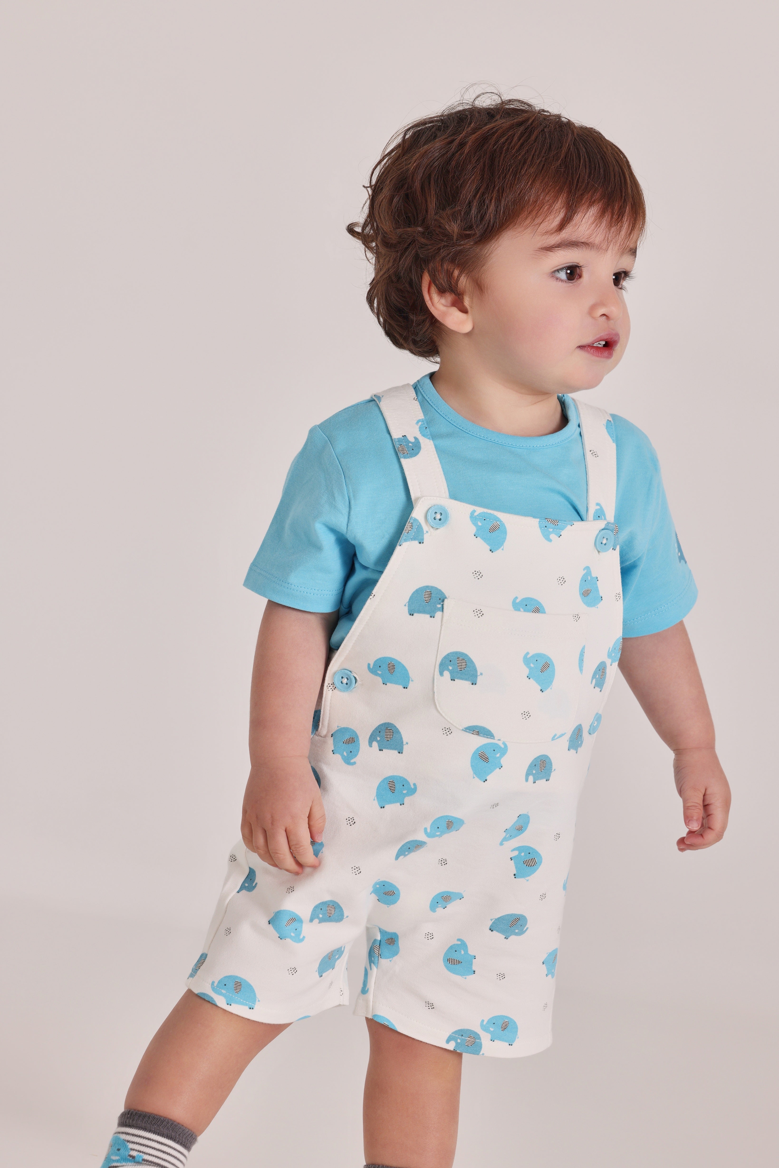 Baby Boys Blue Elephant Overall Set